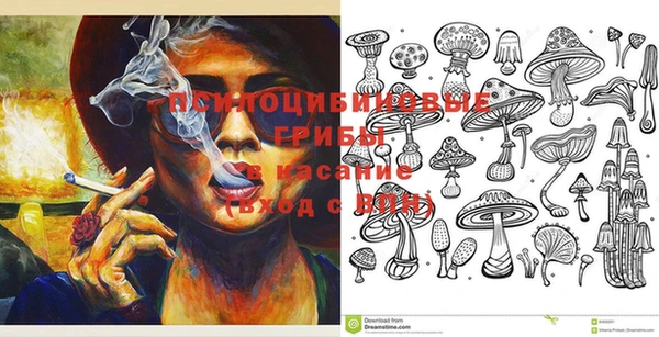 скорость Новозыбков