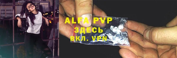 скорость Новозыбков