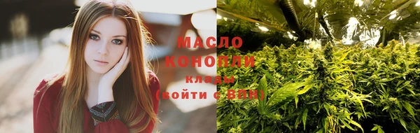 скорость Новозыбков