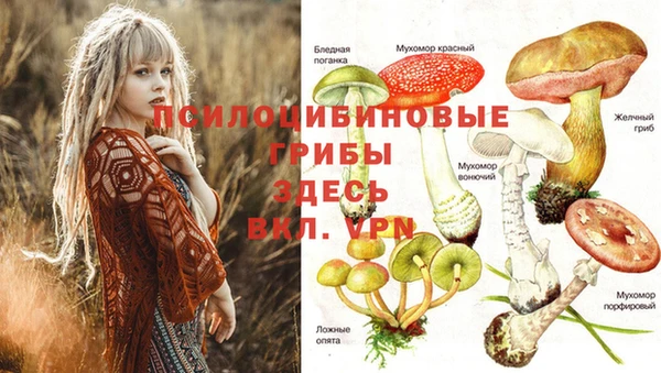 скорость Новозыбков