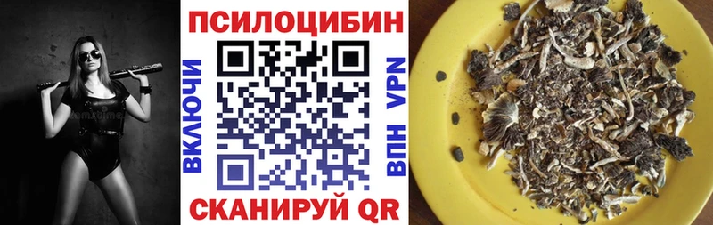 Псилоцибиновые грибы Psilocybine cubensis Куйбышев
