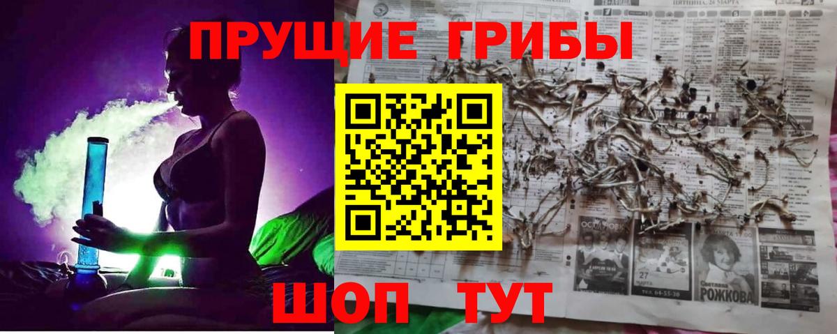 Галлюциногенные грибы Psilocybine cubensis  Галлюциногенные грибы ЛСД  Вход с VPN  Куйбышев 