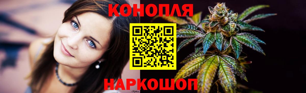Каннабис сатива Куйбышев